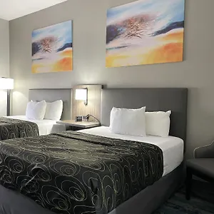 La Quinta By Wyndham Hotel Tampa